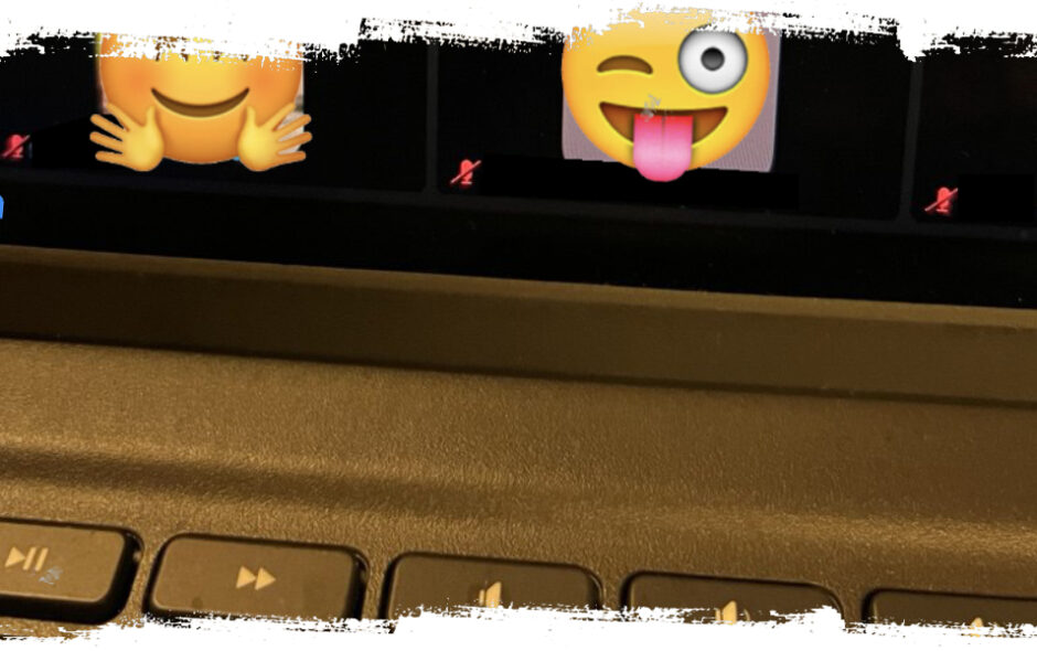 The other day in a zoom call…